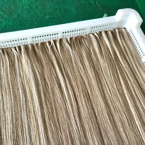 Usine génie Double dessiné Remy Extensions <span class=keywords><strong>de</strong></span> cheveux blond faits saillants cuticule aligné cheveux humains génie trame - Product Image 4