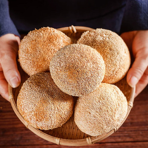 Hongo Melena de León Seco Premium, <span class=keywords><strong>Hericium</strong></span> <span class=keywords><strong>Erinaceus</strong></span> Natural Fresco y Seco para la Salud Cerebral y la Digestión - Product Image 6