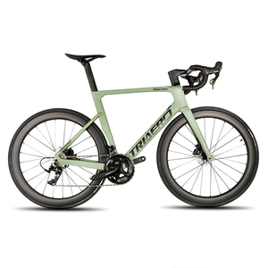 Bicicletta da Corsa in Carbonio con Freno a Disco e Cablaggio Interno Testata UCI con Gruppo LT-WOO - Product Image 1