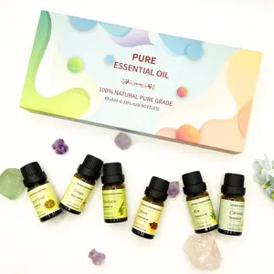 Vente en gros Ensemble cadeau de 6 bouteilles d'huiles essentielles naturelles pures de 10ml pour diffuseur d'air Parfum d'ambiance Détente Thé calme Lavande Thé LemonGrass