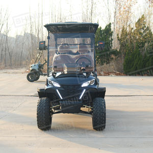 Buggy Utilitaire Électrique 6 Passagers Homologué pour la Route avec Suspension Indépendante, Voiturette de Golf Touristique - Product Image 2