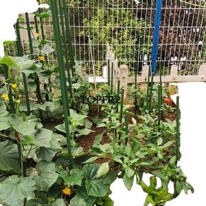 Varilla trepadora de frijoles de tomate de palo de soporte de planta de fibra de vidrio agrícola de alta calidad - Product Image 4