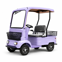 Voiturette de golf électrique personnalisée 800W 72V 2 places avec batterie au lithium, haute vitesse et longue autonomie pour les centres de villégiature