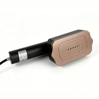 Fer à vapeur électrique portable en céramique avec vapeur continue pour les voyages et l'usage domestique