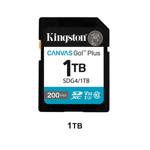 Kingston For SDG4 1TB Plastic <b>Memory</b> <b>Card</b> for Content Creator Storage Black for Camera & Phone - Product Image 1