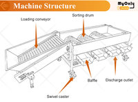 Mijn automatische knoflook sorteermachine, fruit- en aardappelsorteermachine, dadelwas- en sorteermachine