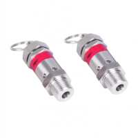 Mini vanne de sécurité à décharge d'air en acier inoxydable 304, filetage mâle BSPT 1/8" 1/4", 0,5-10 bars, avec verrouillage