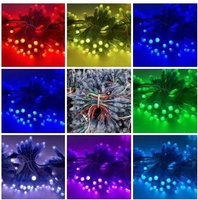 DC 12V WS2811 12mm Diffusé Numérique RGB LED Pixel Lumière Individuellement Adressable Rond LED Module 50pcs/Brin IP68 Étanche