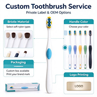 Brosses à dents manuelles personnalisées pour adultes – Fournisseur d'usine, support pour l'hygiène buccale quotidienne, nouveau design, brosses à dents en plastique à poils souples