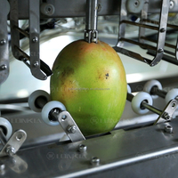 Mango Schilmachine Mango Peeling Pitting Machine Mango Peeling En Snijmachine