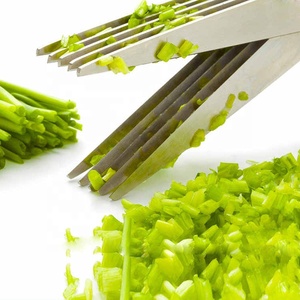 Kéo Cắt Thảo Mộc 5 Lưỡi Bằng Thép Không Gỉ Đa Năng, Kéo Cắt Thái Rau, Thảo Mộc - Product Image 6
