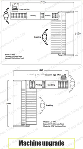 Bán Máy Phân Loại Trứng Chất Lượng Cao Máy Phân Loại Phân Loại Trứng - Product Image 3