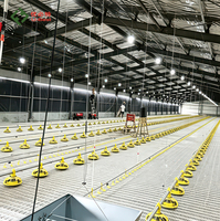 Système d'alimentation automatique durable et d'abreuvement par coupelle pour l'élevage de volailles