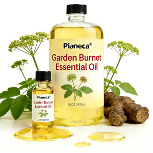 100% Biologique Racine de Burnet Naturelle (Sanguisorbae Radix) 100% Pure Huile d'Officinalis <span class=keywords><strong>Sanguisorba</strong></span> Fabricant OEM/ODM - Product Image 1