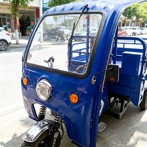 Tricycle cargo à essence, directement de l'usine, facile à utiliser, commande simple pour le transport de marchandises sur de courtes distances - Product Image 6