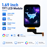 Módulo LCD TFT Personalizado de 1.69 Pulgadas 240x280 con Controlador IC ST7789 AA 27.97x32.63mm para Desarrollo de Dispositivos Portátiles y Dispositivos Inteligentes