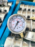 SONGLIN Brand Vibration-Resistant Measuring Instrument Stainless Steel and Brass Range OEM