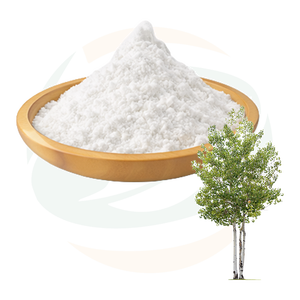 Китайский травяной экстракт березовой смолы в порошке: чистый вкус, тонкая текстура и стабильное качество для функциональных продуктов питания и питательных смесей - Product Image 1