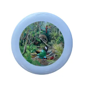 Usine directe professionnel 110 grammes TPE disques personnalisés 23cm disques à mouche en plein air jeunesse Frisbee jeux plage sport jouets disques volants