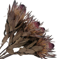 Roi a — fleurs naturelles séchées pour décoration de mariage, vente en gros, usine