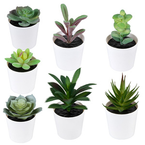 <span class=keywords><strong>Mini</strong></span> Piante Artificiali in Vaso Ecologiche da 9cm, Decorazione da Scrivania in PVC, Regalo, Simulazione di Piante Grasse - Product Image 6