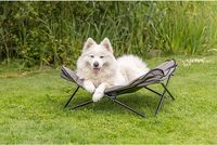 Lits pour chiens en hamac surélevé pliables en métal pour l'extérieur, imperméables, pour le camping