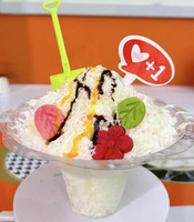 Machine à neige commerciale pour smoothies, machine à glace en flocons, machine à glace pilée hawaïenne Bingsu