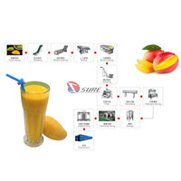 Complete Lijn Fruit Mangosap Maken Extractor Machine Concentraat Vruchtensap Productielijn
