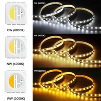 Tira de Luces LED RGBW WS2814B de 12 V y 24 V, Direccionable por Píxeles, RGBWW, RGBCW, 60 LED/m, para Iluminación de Escenarios