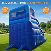 DFRL Piscina de Bolas con Tobogán, Castillo Inflable Comercial, Alquiler de Equipos para Fiestas, Garantía de 3 Años, Personalizable