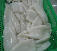 Illex Frozen Calamars Calmar Tubes U5 U7 U10 Style Frais Emballage En Vrac Nature Caractéristique Produit En Gros