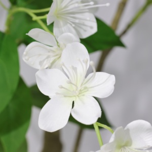 <span class=keywords><strong>Jasmin</strong></span> artificiel de haute qualité pour décoration de mariage, idéal pour l'intérieur - Product Image 6