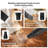 Sèche-cheveux professionnel pour animaux de compagnie à double moteur Typhoon DHD-3000F/2400F, personnalisable OEM, vente directe usine, pour chiens et chats, Shernbao