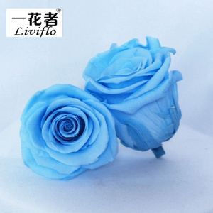 ดอกกุหลาบจริงอบแห้งขนาด 5-6 ซม. ยี่ห้อ Liviflo ขายส่ง บรรจุกล่อง สำหรับตกแต่งวันวาเลนไทน์และงานแต่งงาน - Product Image 6