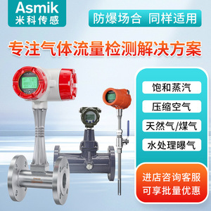 Débitmètre Vortex Asmik 25-300 mm en acier inoxydable pour vapeur, air et liquides - Product Image 2