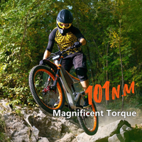   Moto tout-terrain électrique Yozma 10 1200W, 48V21Ah Lithium pour Light Bee X, 55 km/h, 50~60 km d'autonomie