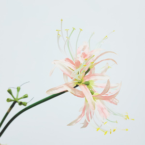 M822 Décoration florale Equinox de haute qualité, <span class=keywords><strong>Higanbana</strong></span> artificielle pour la décoration intérieure - Product Image 5