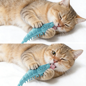 Giocattolo Spazzolino per Gatti, Pulizia a 360 Gradi, Gomma Dura Resistente, Giocattolo Interattivo con Erba Gatta per Animali Domestici, Spazzolino per Cani, Vendita all'Ingrosso - Product Image 2