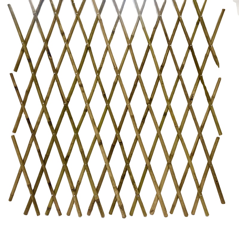 Rare Materials Bamboo Pole for Plant