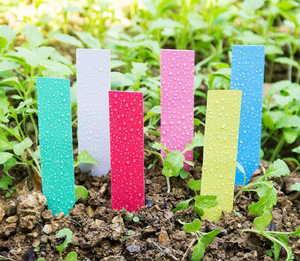 Étiquettes <span class=keywords><strong>de</strong></span> jardin en PVC imperméable largement utilisées pour les pots <span class=keywords><strong>de</strong></span> fleurs, les semis, les étiquettes <span class=keywords><strong>de</strong></span> plantes, les étiquettes <span class=keywords><strong>de</strong></span> plantes <span class=keywords><strong>de</strong></span> jardin, couleurs mélangées - Product Image 5