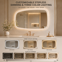 Miroir de salle de bain LED à cadre irrégulier avec éclairage avant et arrière, miroir de vanité anti-buée, 3 couleurs réglables, fonction mémoire
