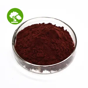 Factory Supply 95% Natural Grape Seed Extract OPC Grape Seed Extract Powder