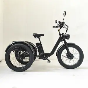 전기 성인 세발 자전거/2023 새로운 스타일 전기 성인 trike/전기 세발 자전거 공장 가격 높은 부하 성인을위한 중국에서 만든