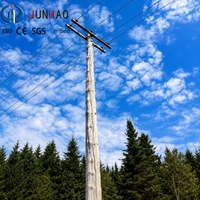 Poteau électrique tubulaire en acier galvanisé pour ligne de transmission, poteau utilitaire polygonal pour projet de réseau aérien haute tension