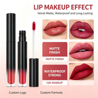 Gloss à lèvres mat personnalisé à logo, rouge à lèvres liquide velours haute pigmentation, longue tenue, anti-transfert, non desséchant – Meilleure vente