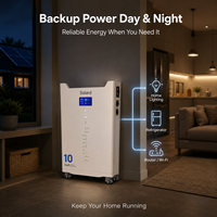 Batería de Almacenamiento de Energía Solar para el Hogar de 51V 200Ah 10kWh, 8000 Ciclos, 48V 200Ah, Se Busca Socio Global para Tiendas Minoristas, Sistema Fuera de Red