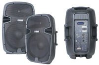 Équipement audio professionnel P Audio 15 pouces amplifié – Prix pour l'audio, la vidéo et l'éclairage professionnels