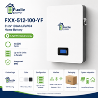 Batterie lithium LiFePO4 murale 51,2 V 100 Ah 5,12 kWh pour stockage d'énergie solaire hybride avec BMS intégré