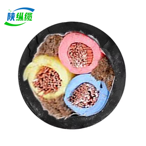 ZR-VVR Rvvz Yjvr Koninklijke Kabel 2-<span class=keywords><strong>5</strong></span> Kern Koperen Kern Vlamvertragende Flexibele Voedingskabel Flexibele Koperdraad - Product Image 2