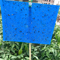 Effen Blauwe Vierkante Milieuvriendelijke Kleverige Lijmval Buitenshuis Gebruiken Effectieve Insectenbestrijding Pp Plastic Bord Boerderij Applicatie Fruit